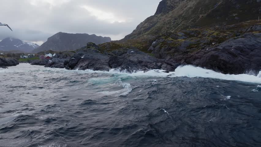 Orca pod swimming along rocky overcast coastline with distant mountains