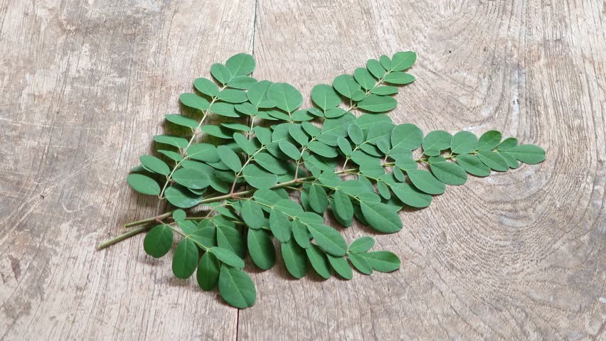 Moringa leaves on an old wooden surface