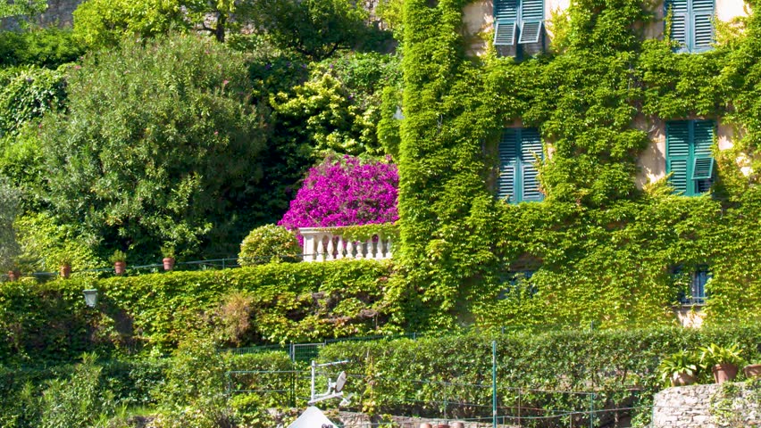 A slow upward tilt reveals a grand villa covered in ivy within a lush garden.