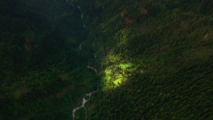 Aerial top down orbit over dense pine forest and winding river with a sunlight clearing on Parvati valley floor, Himalayan mountains