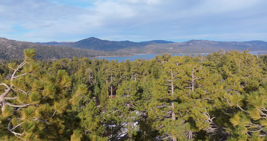Flying over pine forest with lake and mountains