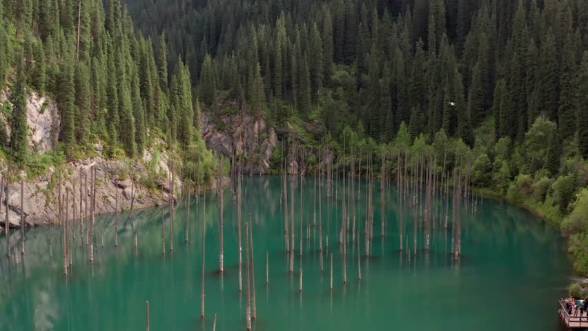 Drone flying forward over Kaindy lake, smooth motion across turquoise glacial water with submerged spruce trunks in Kazakhstan, unique sunken forest landscape in mountain national park