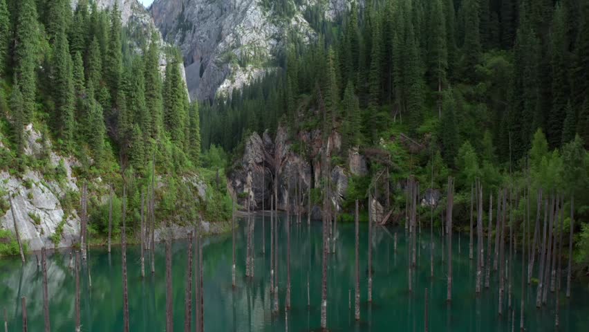 Drone flying forward over Kaindy lake, smooth motion above turquoise water with submerged tree trunks and forested slopes in Kazakhstan, unique travel destination and dramatic nature landscape