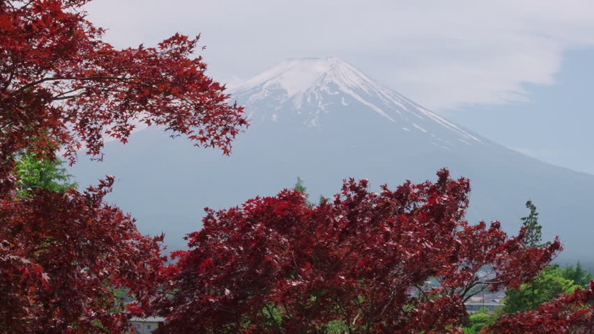 Scenic Natural Landscapes with Views of Mount Fuji in Fujiyoshida, Japan