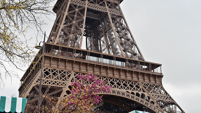 Low-angle view of the lower and middle sections of the Eiffel Tower beside a budding tree under an overcast sky, Champ de Mars, Paris, France.