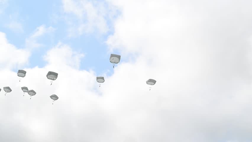 US and Allied military personnel jump into designated landing zones.