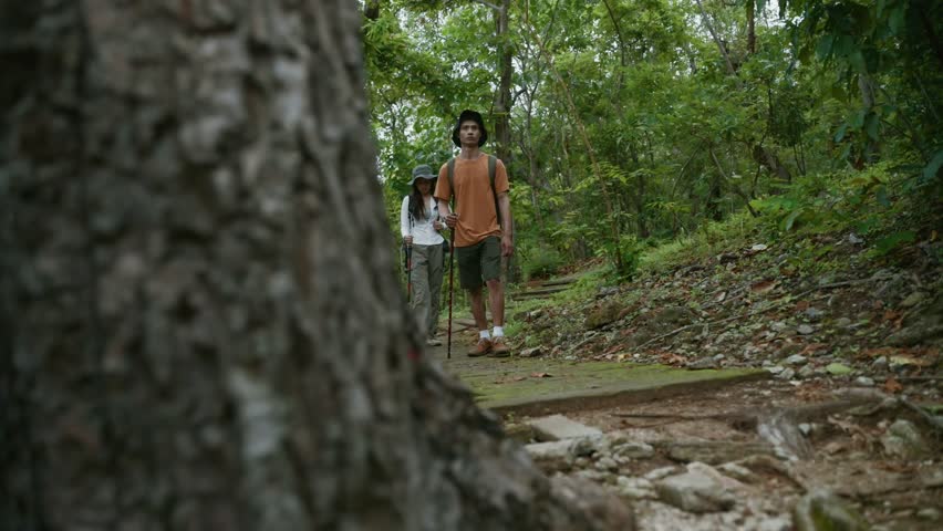 Daring young couple venturing into a vibrant, verdant forest together. Pair equipped with hiking poles and backpacks, navigating a scenic trail hand in hand