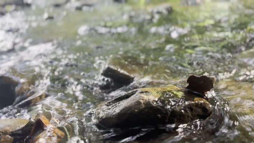 Title: Close up shot of crystal clear shallow water flowing rapidly over smooth river stones