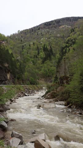 Title: Vertical shot of a powerful river rushing rapidly through a serene forest canyon