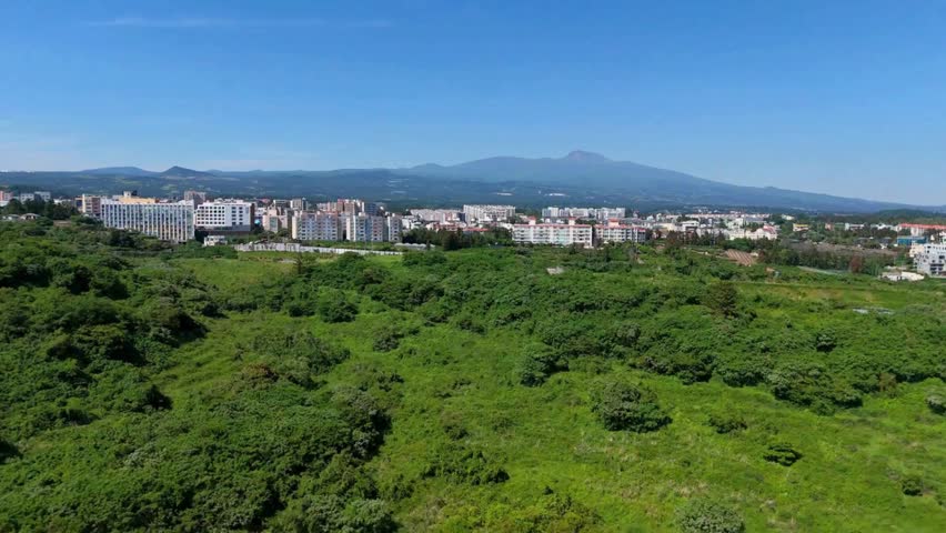 Scenic high-angle aerial drone view moving forward over lush green forest, revealing the Seogwipo cityscape with a distant majestic view of Mount Hallasan under a clear blue sky in Jeju Island, South Korea.