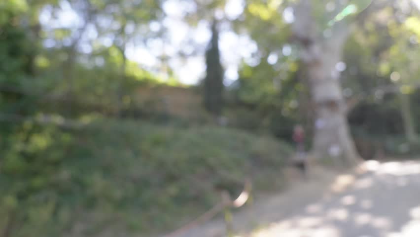 Blurred background of person swinging on zipline through forest park