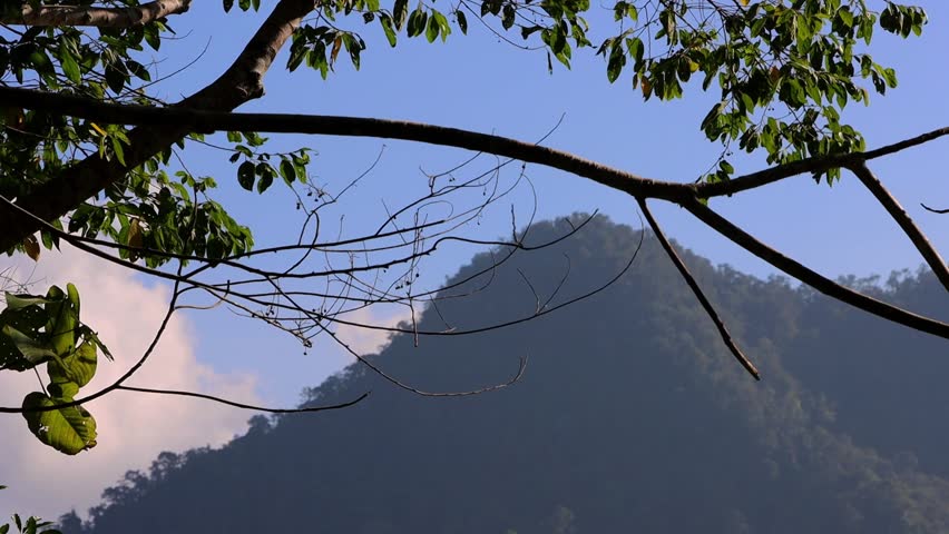 Mountains Lake By Lush Jungle at Balinsasayao Twin Lakes Natural Park, Philippines