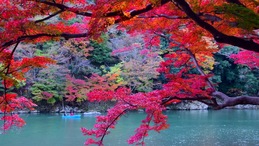 Enjoying a boat ride on the Katsura River in front of the Togetsukyo Bridge in Kyoto during the autumn foliage season.