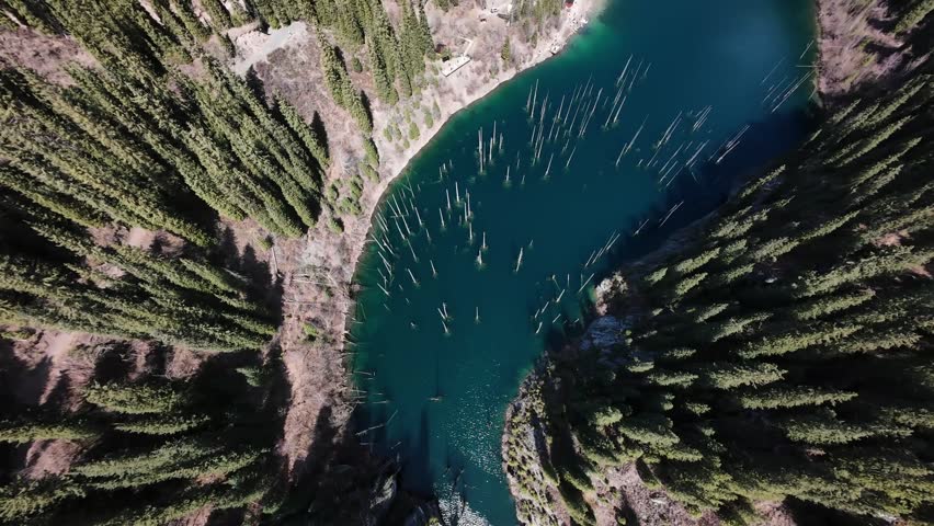 Top down aerial view of Kaindy Lake and submerged forest in Kazakhstan.