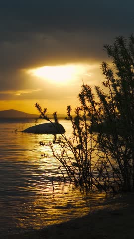 An extraordinarily beautiful sunset with a landscape view of the lake. Real natural beauty. Vertical video, background, splash screen.