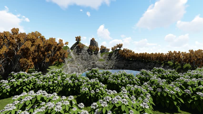 Hill Small Pond and Nature