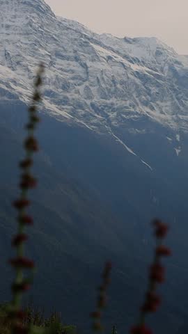 Vertical close up View of the Annapurna Massif Himalayas from a Mountain Village in Nepal