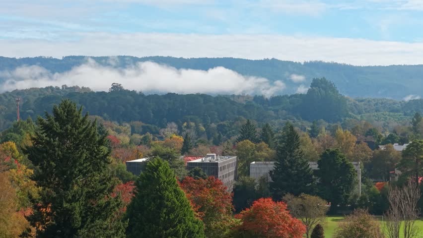 Aerial view of the Valdivian forests in southern Chile with clouds in the background in the fall, University of Southern Chile campus