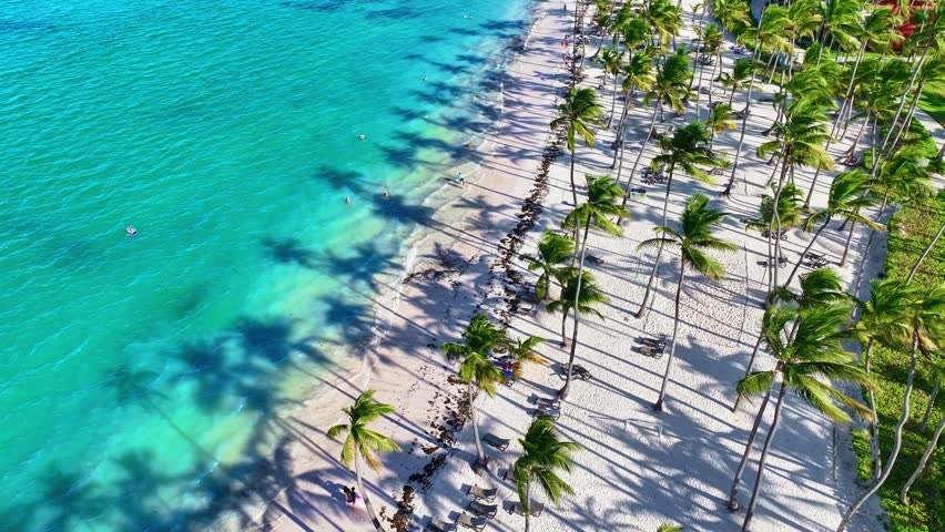 A resort sandy beach with clear azure water and bright green palm trees. A busy summer vacation in the Dominican Republic. Travel concept. Beach on the Caribbean coast.