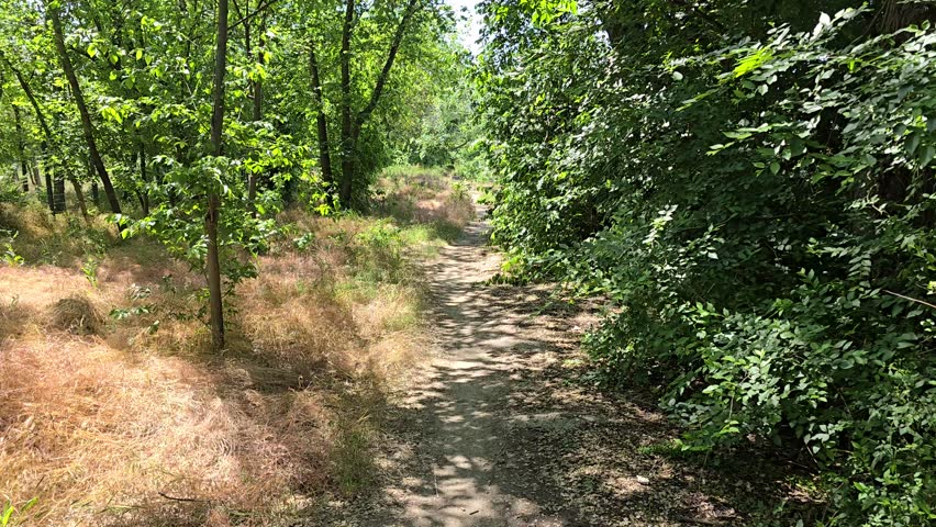 Evpatoria (Crimea, Crimean Peninsula) A path in the park near Lake Moinaki.