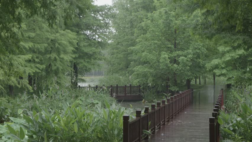 On a rainy day, raindrops fall onto the wooden boardwalk by the pond.
