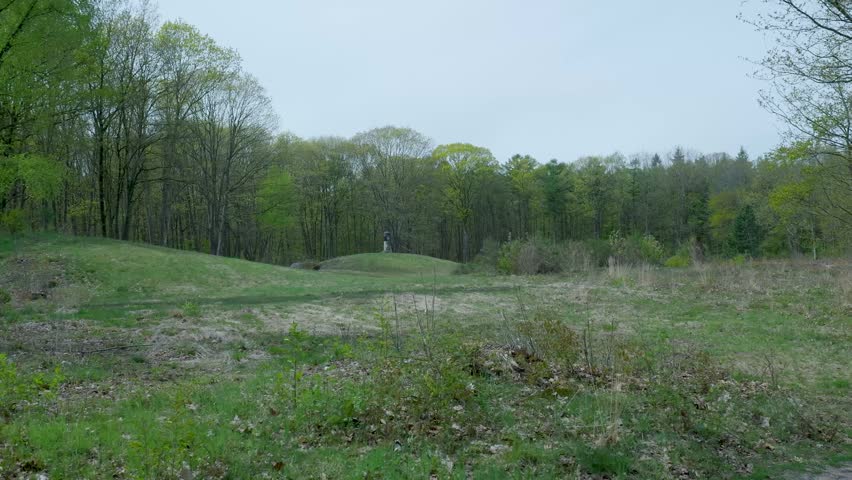 Handheld lateral dolly shot of a wild forest landscape in spring
