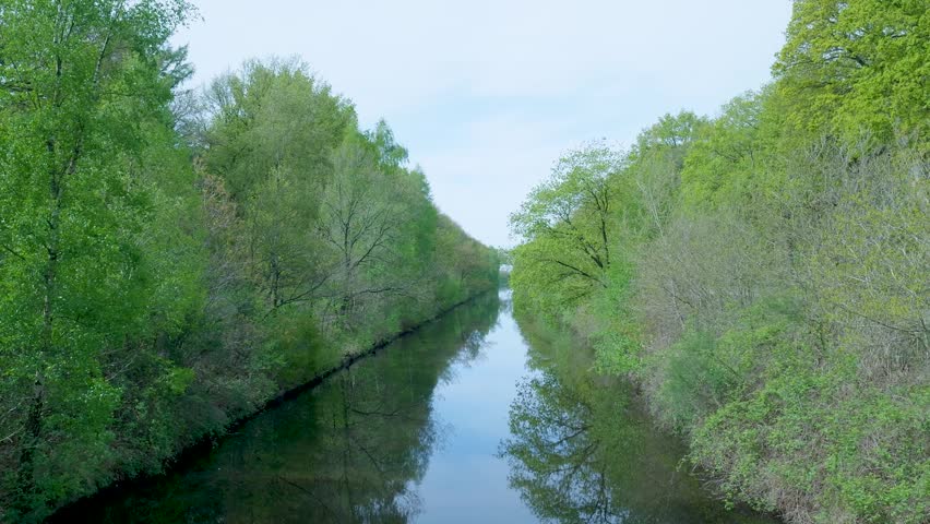Navigable canal flowing through a lush green forest