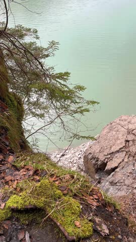 Viewpoint above edge of Lake Klöntal Klöntalersee nature outdoor Switzerland, vertical video