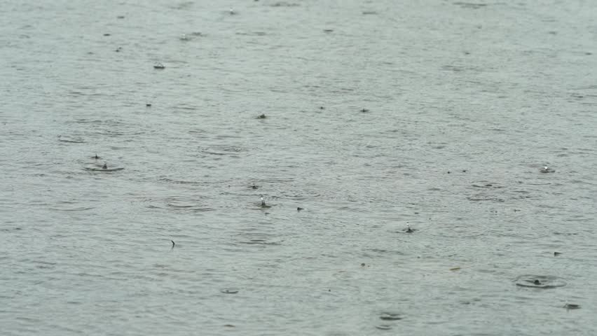 Rain falling into the waters
