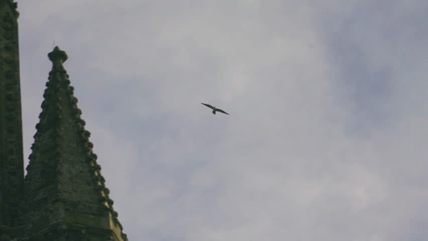 Slow motion footage of a peregrine falcon flying above Salisbury Cathedral in Wiltshire, England. The bird of prey is seen gliding across a cloudy sky near the historic cathedral rooftop