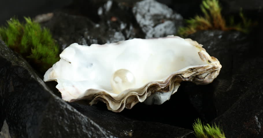 Woman taking pearl from oyster shell on rocks, closeup