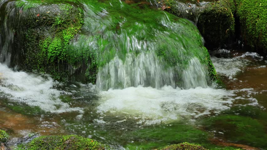 small waterfall in the forest	