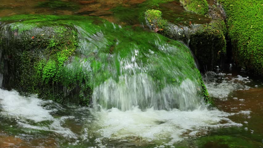 small waterfall in the forest	