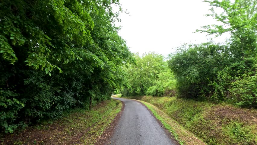 First person perspective driving along a narrow asphalt road surrounded by dense green trees.