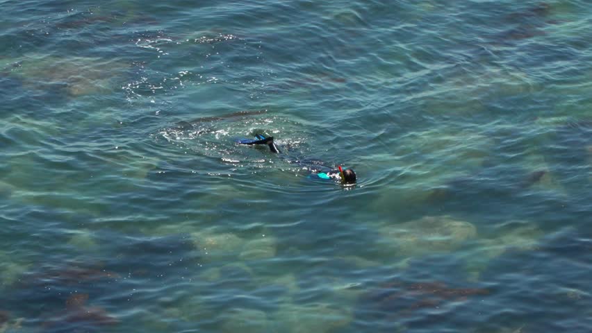 Woman free diver in wetsuit snorkeling with fins to collect seafood and shells in clear blue sea by Haeundae Blue Line Park in Busan South Korea