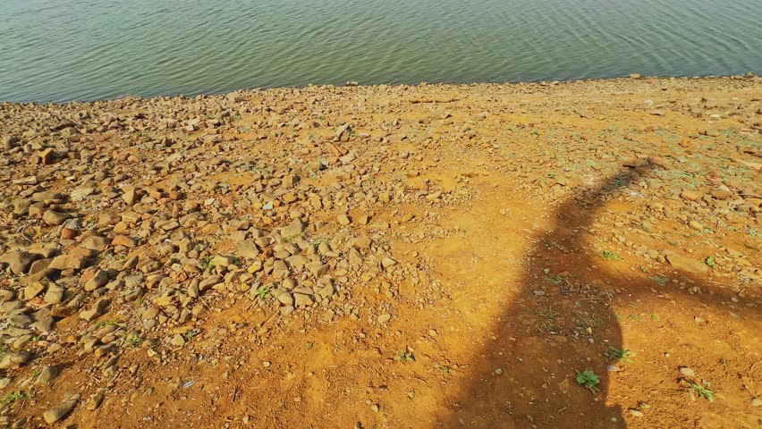 Low angle tilt up view from a rocky shoreline toward a peaceful freshwater reservoir with gentle ripples, distant tree line, and bright blue sky in natural landscape setting