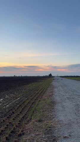Peaceful rural farmland landscape at sunset with colorful evening sky and agricultural fields stretching toward the horizon.
