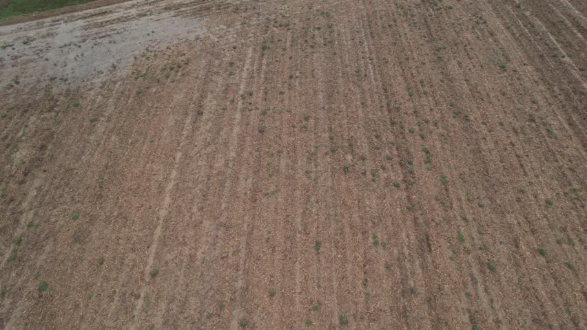 Aerial Drone Moving Left Over Damaged Crop Rows and Eroded Farmland After Seasonal Flooding in Po Valley Portraying the Devastating Impact of Extreme Weather on Italian Agriculture