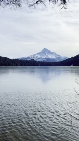 Scenic view of Mount Hood snow peak reflected in a calm lake surrounded by pine forest Oregon vertical shot