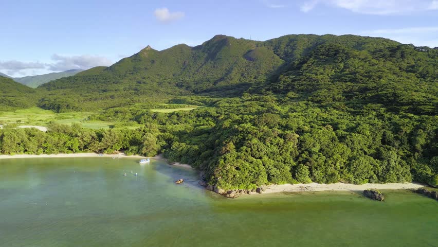 Drone view descending towards a lush green mountain meeting the clear emerald waters and sandy beach of Ishigaki Island, Okinawa, Japan.