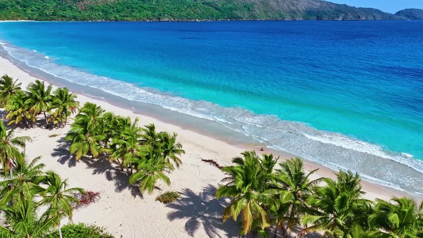 A seamless loop of sea waves on a white Hawaiian palm-fringed sand beach. Palm trees, blue sea and pure natural landscape. A scenic view of turquoise ocean waves on white sand on a sunny summer day.