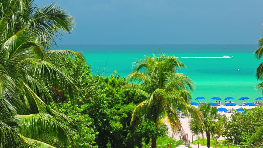 Beautiful view of Miami Beach coastline with turquoise Atlantic Ocean and tropical palm trees. USA.
