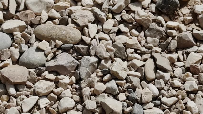 Close-up of mixed gravel stones in bright sunlight, showing pale pebbles, rough rocky texture, dry ground, and natural aggregate surface detail.