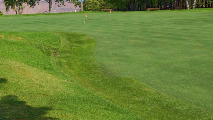 Golf green, on the golf course