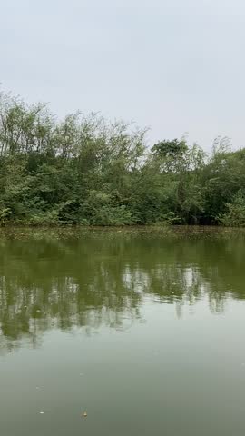 Calm green pond water reflects bamboo and trees along the shore under an overcast sky in rural Uganda.