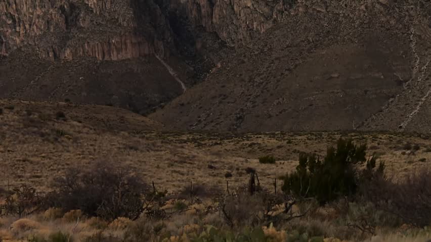 Guadalupe Mountains National Park In West Texas - Tilt Up Shot