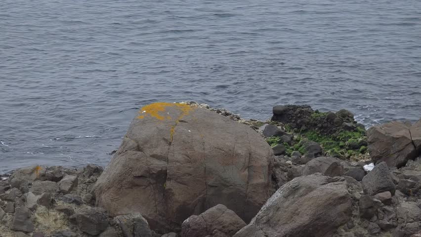 Rocks on the beach, colorful lichens (rock henna) growing on the rocks, and waves gently lapping against the rocks.