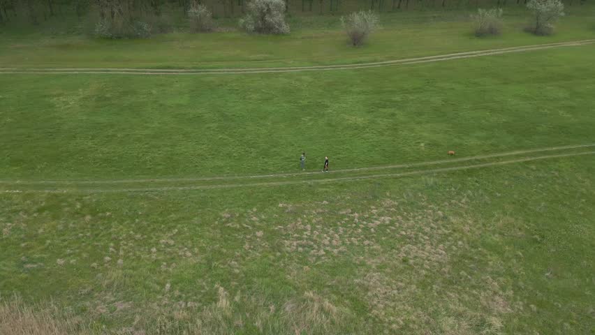 Drone Following Two People Walking With Dog Through Green Meadow