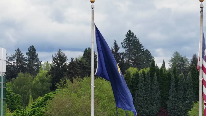 Oregon state flag and American flag waving side by side on tall poles, dense evergreen and lush spring deciduous forest filling frame under overcast cloudy skies. Oregon, USA. Aerial view.