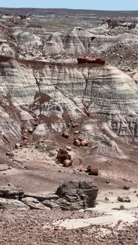 Petrified Forest, Arizona, scenic desert overlook